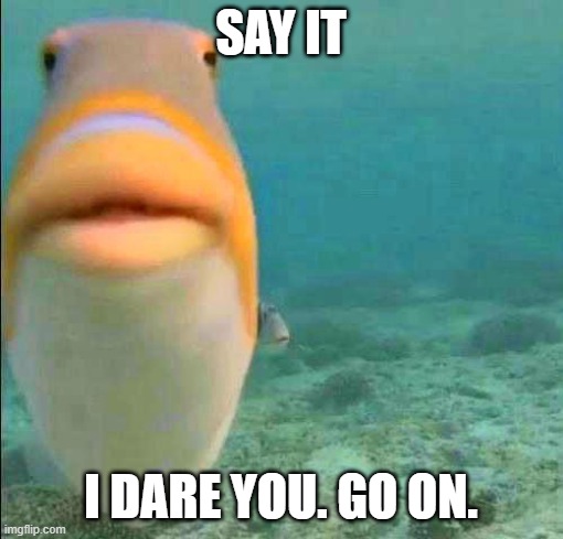 SAY IT I DARE YOU. GO ON. | made w/ Imgflip meme maker