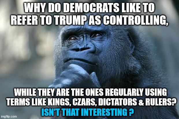 Political Control Freak | WHY DO DEMOCRATS LIKE TO REFER TO TRUMP AS CONTROLLING, WHILE THEY ARE THE ONES REGULARLY USING
 TERMS LIKE KINGS, CZARS, DICTATORS & RULERS? ISN'T THAT INTERESTING ? | image tagged in deep thoughts,projection,power hungry,oligarch,no kings | made w/ Imgflip meme maker