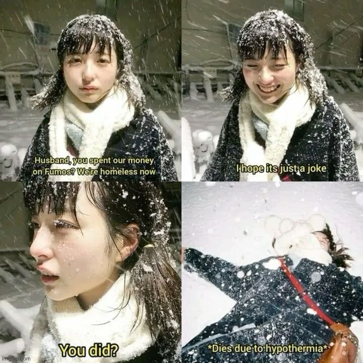 Husband you spent our money on Fumos? | image tagged in husband you spent our money on fumos | made w/ Imgflip meme maker