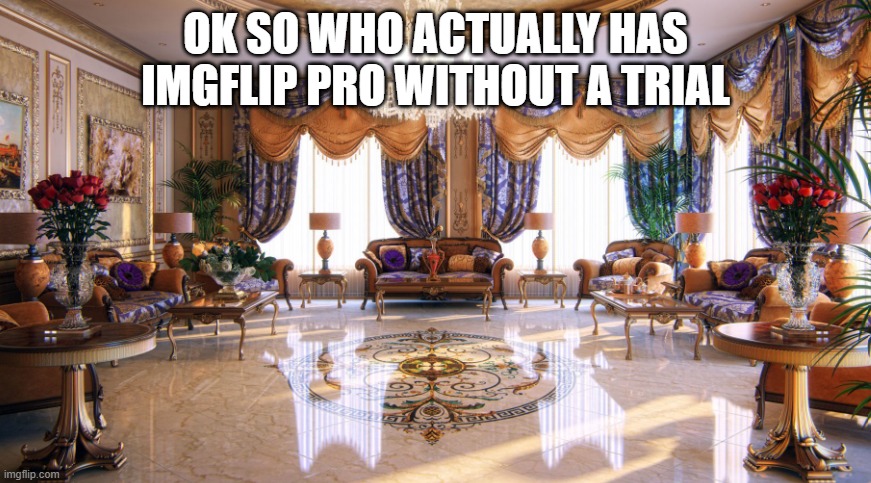 Emusnake | OK SO WHO ACTUALLY HAS IMGFLIP PRO WITHOUT A TRIAL | image tagged in rich house | made w/ Imgflip meme maker