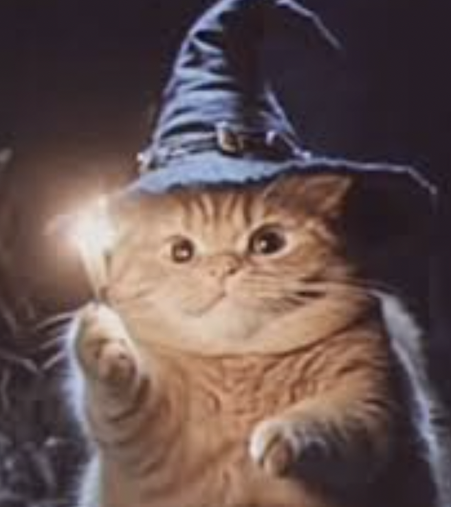 magic cat Blank Meme Template