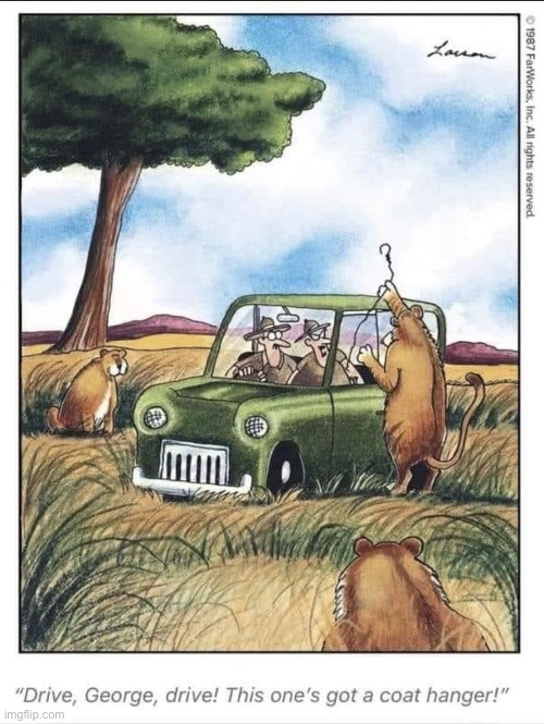 The Far Side | image tagged in comics/cartoons,the far side,lions,safari | made w/ Imgflip meme maker