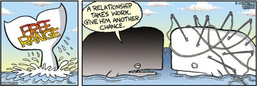 Free Range | image tagged in comics | made w/ Imgflip meme maker