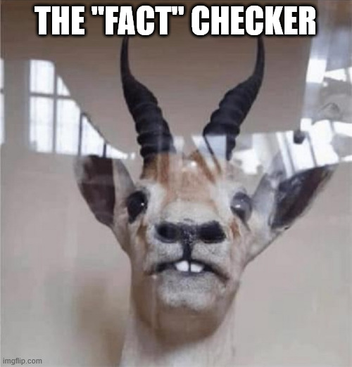THE "FACT" CHECKER | made w/ Imgflip meme maker