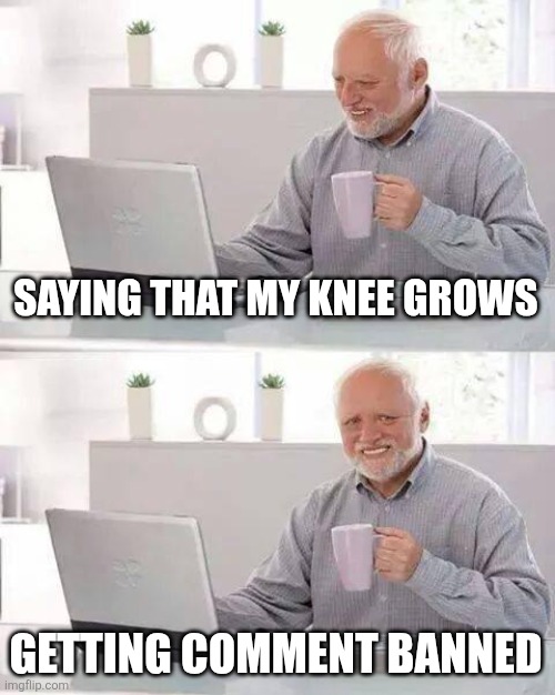 Hide the Pain Harold | SAYING THAT MY KNEE GROWS; GETTING COMMENT BANNED | image tagged in memes,hide the pain harold | made w/ Imgflip meme maker