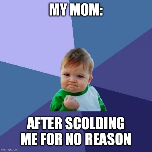 Momyy nooo | MY MOM:; AFTER SCOLDING ME FOR NO REASON | image tagged in memes,success kid | made w/ Imgflip meme maker
