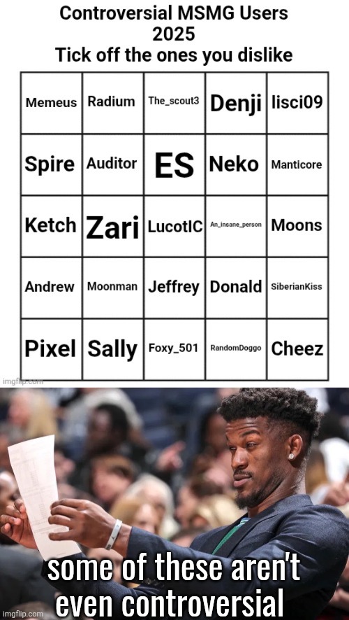 some of these aren't even controversial | image tagged in controversial msmg users 2025,jimmy butler | made w/ Imgflip meme maker