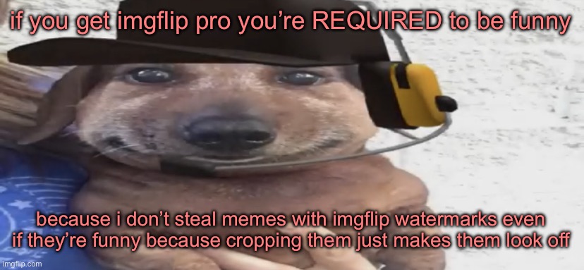 and a lot of y’all here AREN’T funny | if you get imgflip pro you’re REQUIRED to be funny; because i don’t steal memes with imgflip watermarks even if they’re funny because cropping them just makes them look off | image tagged in chucklenuts | made w/ Imgflip meme maker