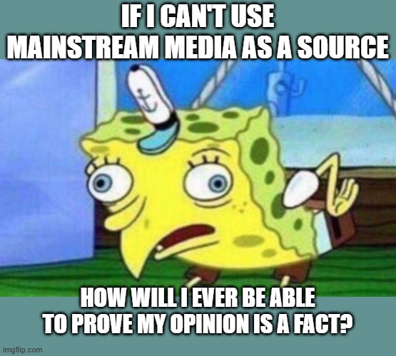 CNN FOX MSNBC ...Cspan is not bad, but if you are getting "facts "  from msm..you aint getting facts, you're getting opinions | IF I CAN'T USE MAINSTREAM MEDIA AS A SOURCE; HOW WILL I EVER BE ABLE TO PROVE MY OPINION IS A FACT? | image tagged in spongebob stupid,human stupidity,scary facts,funny memes | made w/ Imgflip meme maker