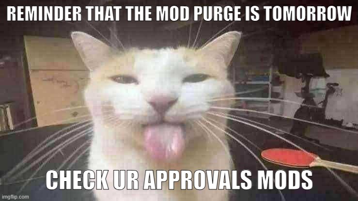 Milly the silly cat Bleh Cat | REMINDER THAT THE MOD PURGE IS TOMORROW; CHECK UR APPROVALS MODS | image tagged in milly the silly cat bleh cat,sans of topic | made w/ Imgflip meme maker