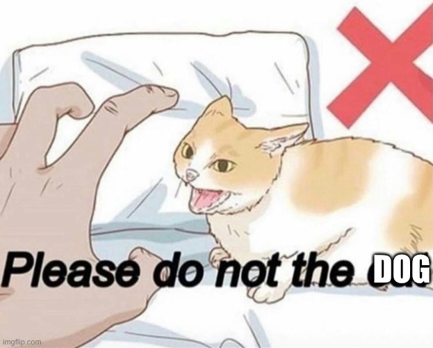 Please do not the cat | DOG | image tagged in please do not the cat | made w/ Imgflip meme maker