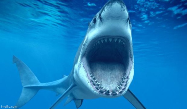 shark open mouth | image tagged in shark open mouth | made w/ Imgflip meme maker