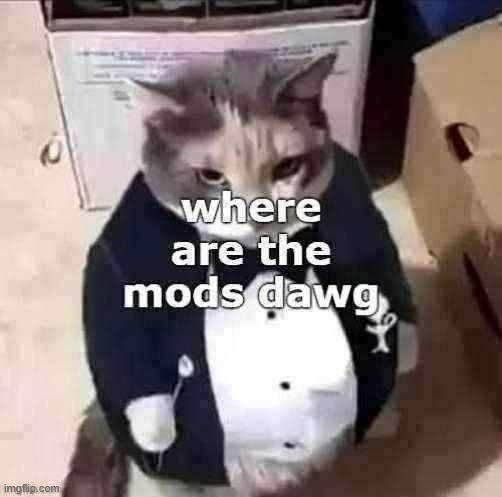where are the mods dawg | image tagged in where are the mods dawg | made w/ Imgflip meme maker
