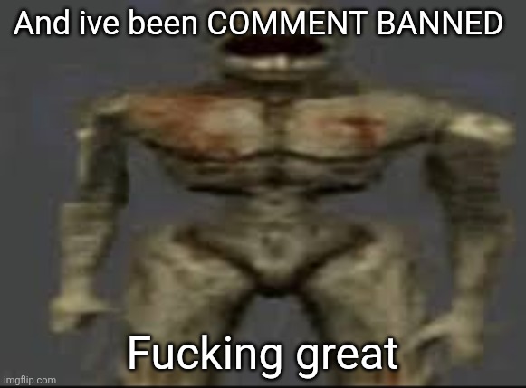Filth with limbs | And ive been COMMENT BANNED; Fucking great | image tagged in filth with limbs | made w/ Imgflip meme maker