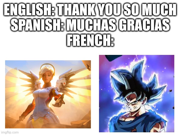 Thank you so much (for upvoting) | ENGLISH: THANK YOU SO MUCH
SPANISH: MUCHAS GRACIAS
FRENCH: | image tagged in repost,funny,random | made w/ Imgflip meme maker