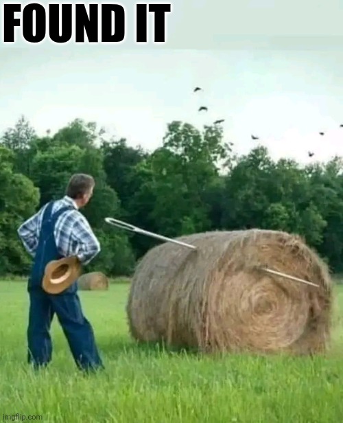 Found It | FOUND IT | image tagged in chris joines | made w/ Imgflip meme maker