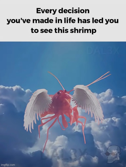 The shrimp welcomes you | made w/ Imgflip meme maker