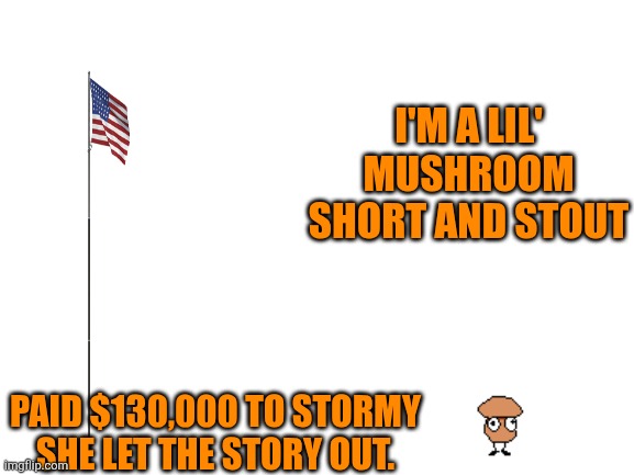 Blank White Template | I'M A LIL' MUSHROOM SHORT AND STOUT PAID $130,000 TO STORMY SHE LET THE STORY OUT. | image tagged in blank white template | made w/ Imgflip meme maker