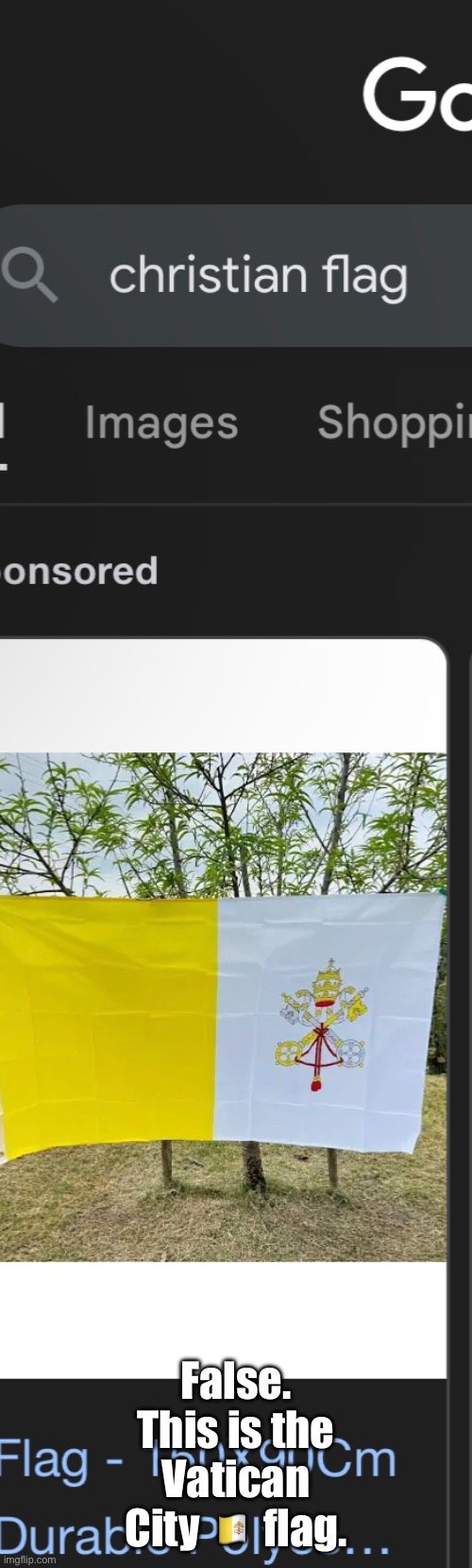 False. This is the Vatican City 🇻🇦 flag. | made w/ Imgflip meme maker
