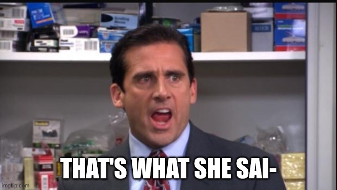 That's what she said the office Michael Scott | THAT'S WHAT SHE SAI- | image tagged in that's what she said the office michael scott | made w/ Imgflip meme maker
