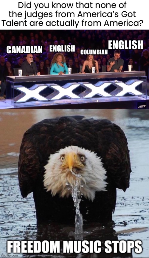 should it be americas got tallent anymore?! | image tagged in freedom music stops,agt | made w/ Imgflip meme maker