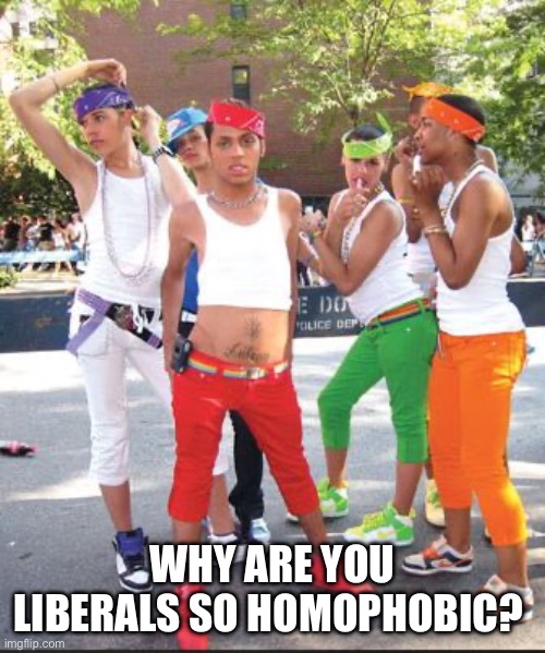 Homo Thugs | WHY ARE YOU LIBERALS SO HOMOPHOBIC? | image tagged in homo thugs | made w/ Imgflip meme maker