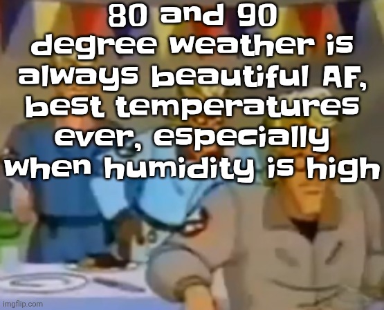 mitosis | 80 and 90 degree weather is always beautiful AF, best temperatures ever, especially when humidity is high | image tagged in mitosis | made w/ Imgflip meme maker