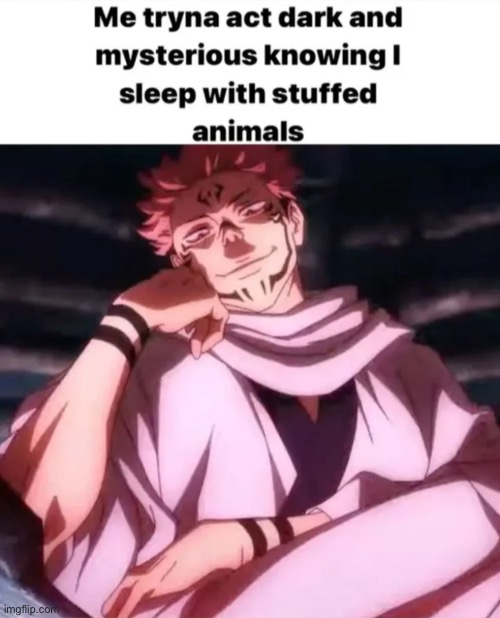 image tagged in jjk,sukuna | made w/ Imgflip meme maker