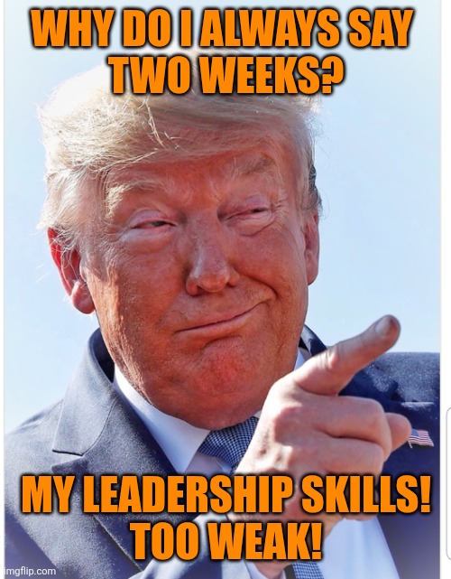 Trump pointing | WHY DO I ALWAYS SAY 
TWO WEEKS? MY LEADERSHIP SKILLS!
TOO WEAK! | image tagged in trump pointing | made w/ Imgflip meme maker