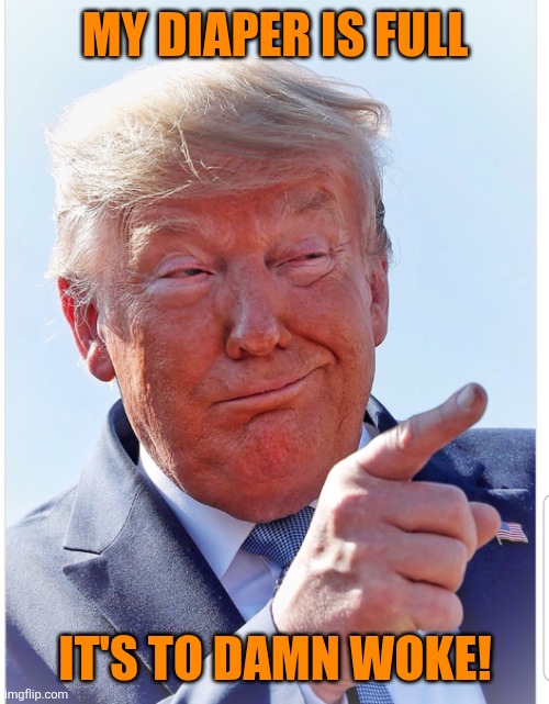 Trump pointing | MY DIAPER IS FULL IT'S TO DAMN WOKE! | image tagged in trump pointing | made w/ Imgflip meme maker