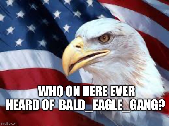 I’m kind of invisible? | WHO ON HERE EVER HEARD OF  BALD_EAGLE_GANG? | image tagged in bald eagle,am i a joke to you | made w/ Imgflip meme maker