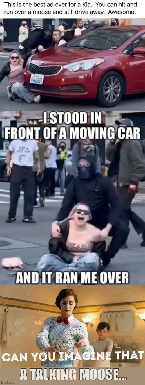 Can you imagine that?  A talking moose. | A TALKING MOOSE... | image tagged in can you imagine that,a talking moose,lesson of the day,do not play in the road | made w/ Imgflip meme maker