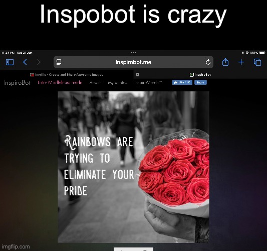 Inspobot is crazy | made w/ Imgflip meme maker