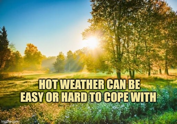 Hot weather can be easy or hard to cope with | HOT WEATHER CAN BE EASY OR HARD TO COPE WITH | image tagged in sunny weather,autism | made w/ Imgflip meme maker