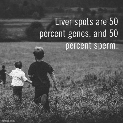 ???????????? | made w/ Imgflip meme maker