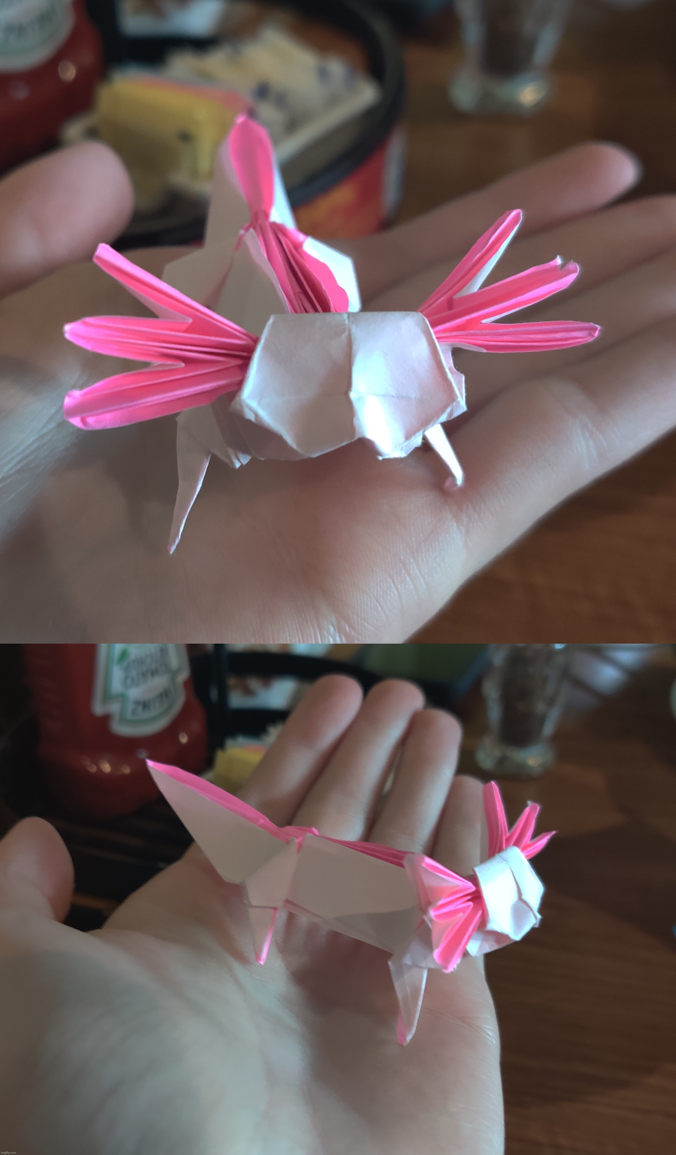 Origami axolotl I made at Denny's | made w/ Imgflip meme maker