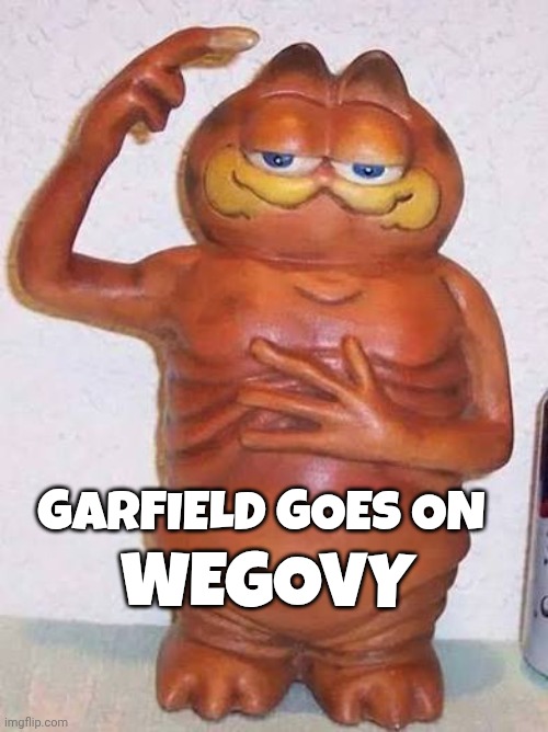 Wegovy memes | GARFIELD GOES ON; WEGOVY | image tagged in garfield | made w/ Imgflip meme maker