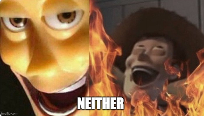 Evil Woody | NEITHER | image tagged in evil woody | made w/ Imgflip meme maker