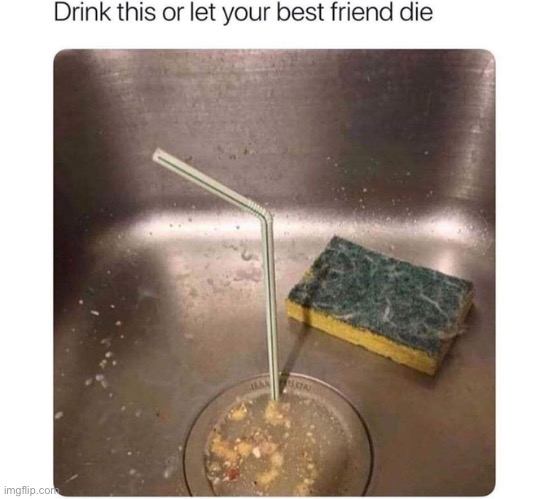 Your friend cooked or nah? | image tagged in disgusting,water,oh hell no | made w/ Imgflip meme maker