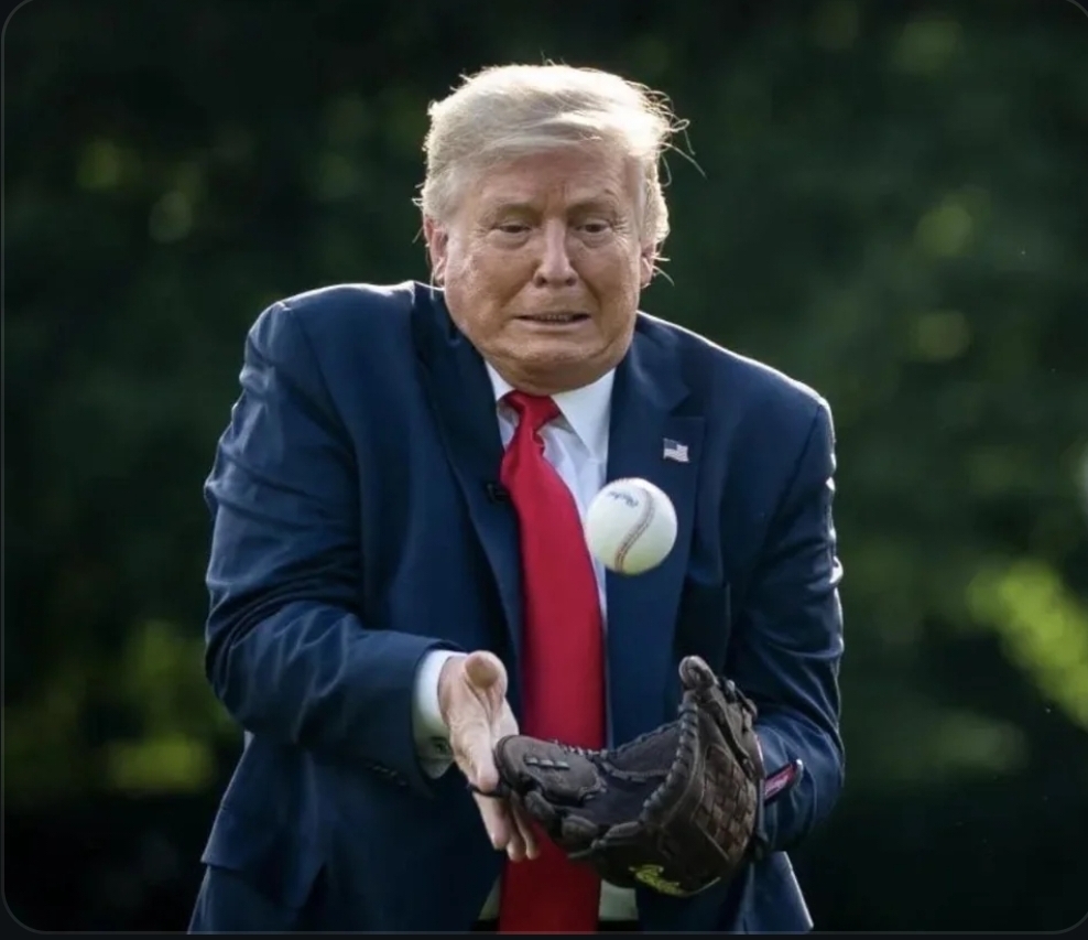 Trump Baseball Blank Meme Template