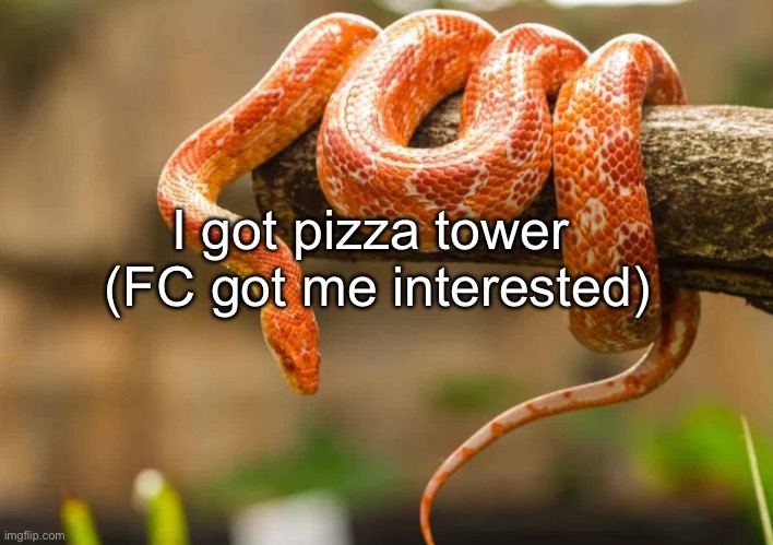 Image unrelated | I got pizza tower 
(FC got me interested) | made w/ Imgflip meme maker