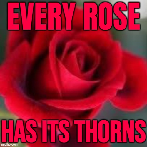 Every Rose Has Its Thorns | EVERY ROSE; HAS ITS THORNS | image tagged in roses are red,life lessons,philosophy,inspirational quote,religion,spirituality | made w/ Imgflip meme maker
