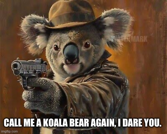 CALL ME A KOALA BEAR AGAIN, I DARE YOU. | image tagged in koala with gun,koalas are not bears | made w/ Imgflip meme maker