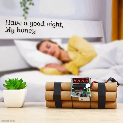 sleep tight | image tagged in temu | made w/ Imgflip meme maker