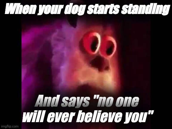 Sully Groan | When your dog starts standing; And says "no one will ever believe you" | image tagged in sully groan | made w/ Imgflip meme maker