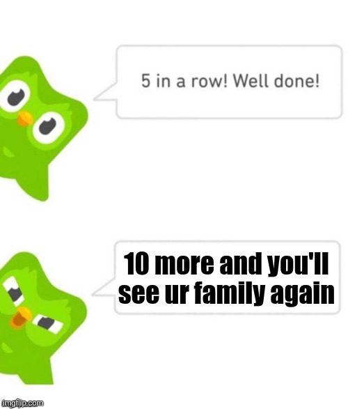 Duo the Owl is mad | 10 more and you'll see ur family again | image tagged in duo gets mad | made w/ Imgflip meme maker