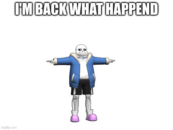sans just no | I'M BACK WHAT HAPPEND | made w/ Imgflip meme maker