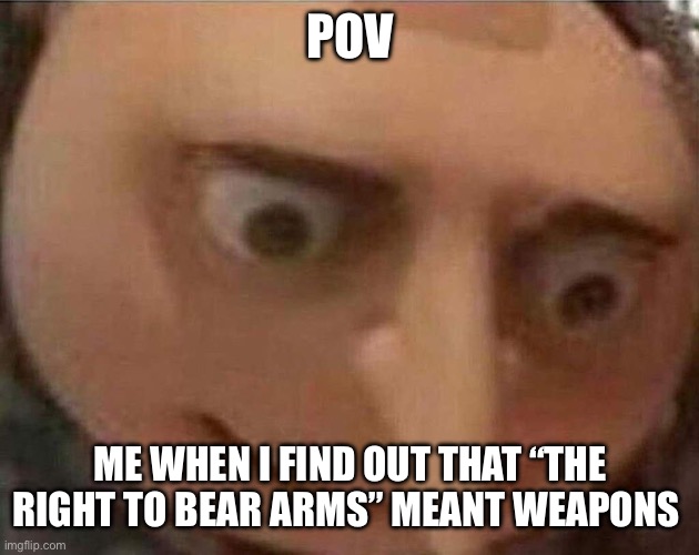 gru meme | POV; ME WHEN I FIND OUT THAT “THE RIGHT TO BEAR ARMS” MEANT WEAPONS | image tagged in gru meme | made w/ Imgflip meme maker