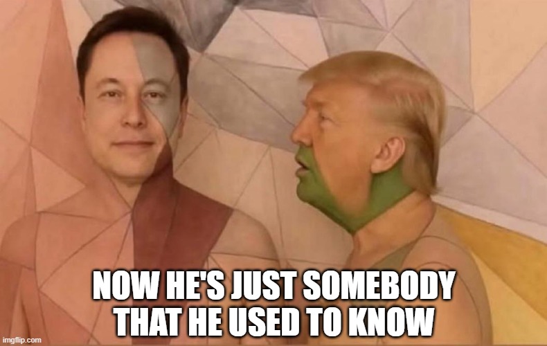 Used to Know | NOW HE'S JUST SOMEBODY THAT HE USED TO KNOW | image tagged in politics,trump,elon musk | made w/ Imgflip meme maker