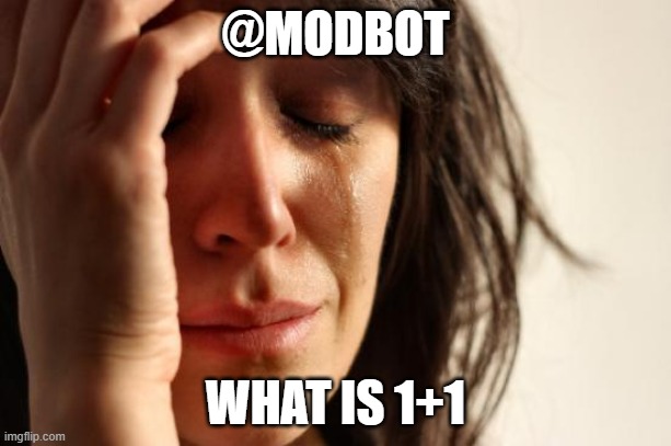 First World Problems | @MODBOT; WHAT IS 1+1 | image tagged in memes,first world problems | made w/ Imgflip meme maker